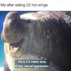 Meet your Posher, Seth